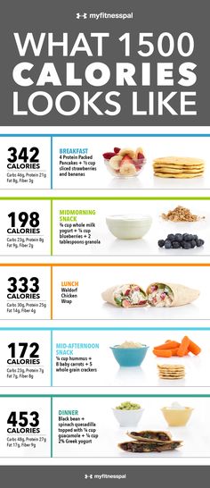 Thousand Calorie Meal Plan, What 500 Calories Looks Like, What I Eat In A Day 1600 Calories, Simple Healthy Diet Plan, 500calorie Diet, Breakfast Ideas With Calories, Wegovy Food Plan, 1 500 Calorie Meal Plan Easy, Easy 1800 Calorie Meal Plan