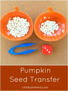 pumpkin seed transferer with scissors and dice