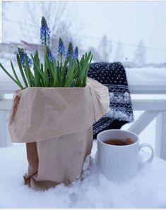 a cup of coffee sitting on top of a snow covered table next to a paper bag