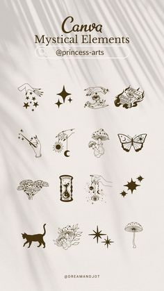 an image of the back side of a poster with many different things on it, including stars and moths