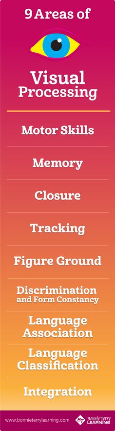 Areas of Visual Processing Visual Motor Activities, The 5 Senses, Visual Perception Activities, Spelling Practice, 5 Senses, Sensory Integration