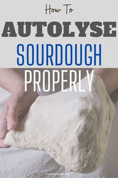 how to autolyse sourdough properly with the text overlay that reads, how to autolyse sourdough properly