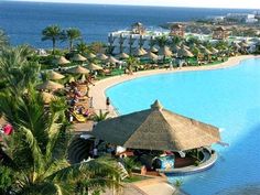 an aerial view of a resort pool with thatched umbrellas and palm trees in the foreground