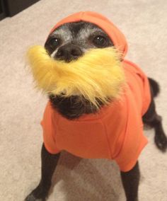 a small dog wearing an orange shirt with a fake moustache on it's face