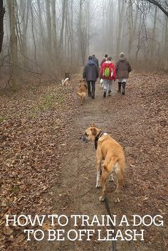 a group of people walking down a trail with dogs on leashes and the words how to train a dog to be off leashed