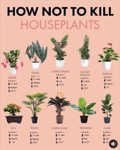 a poster showing how to kill houseplants in different potted sizes and colors