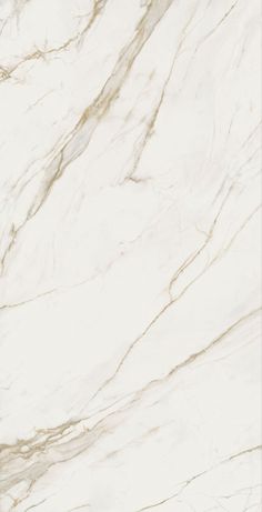 Calacatta Extra Slab 12x24 Tile, Wood Ceramic Tiles, Shower Wall Tile, Calacatta Gold Marble, Pebble Tile, Calacatta Gold, Calacatta Marble, Mosaic Decor, Tile Trim