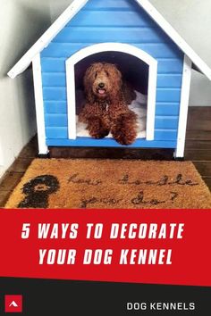 a brown dog sitting in a blue and white dog house with the words 5 ways to decorate your dog kennel