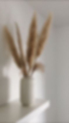 two white vases with some brown feathers in them on a shelf next to a mirror