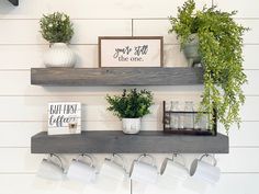 some shelves with plants and pictures on them