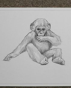 a drawing of a monkey sitting on the ground