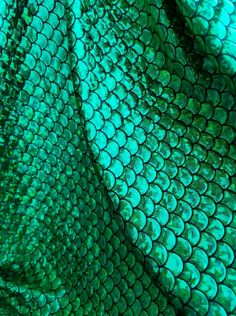 a green snake skin pattern is shown in close up, as well as the background