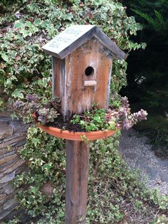 a birdhouse with plants growing out of it's sides on a wooden post