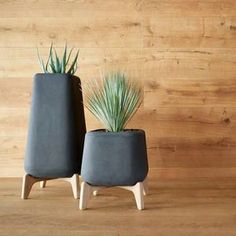 two cement planters sitting next to each other on a wooden floor in front of a wood wall