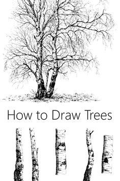 how to draw trees for kids