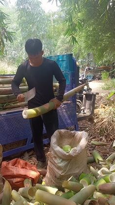 a man standing in front of a pile of corn on the cob and holding a large knife