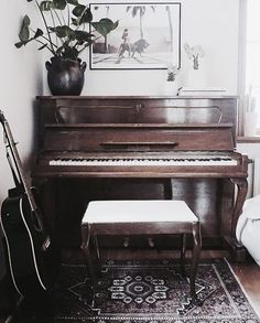 a living room with a piano, bench and potted plant on the floor in front of it