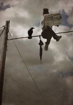 a man sitting on top of a telephone pole next to a crow