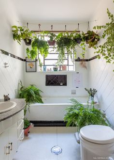 a bathroom with plants hanging from the ceiling