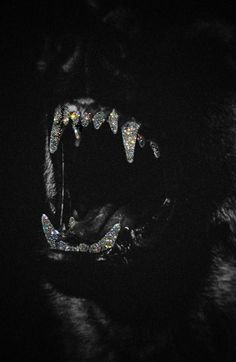 an animal with its mouth open and it's teeth lit up in the dark