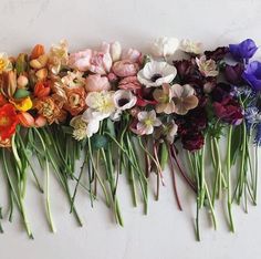 an arrangement of flowers laid out on a white surface with green stems and purple ones