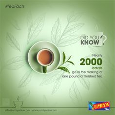 a cup of tea with the words did you know?