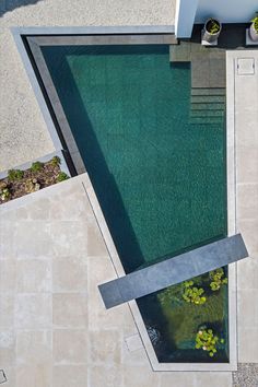 an aerial view of a swimming pool with plants and water lilies in the foreground