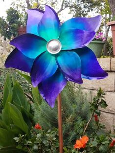 a purple and blue flower sitting on top of a plant