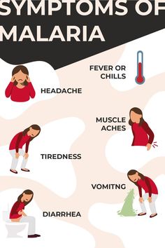 An graphic with six illustrations. Each illustration is a white girl with brown hair in a red shirt. The girl is illustrated to display the symptoms of Malaria: fever and or chills, headache, muscle aches, tiredness and or fatigue, vomiting and diarrhea. The illustrations sit on a cream background with a black banner that reads "Symptoms of Malaria". Chills Symptoms, Malaria Poster, Malaria Prevention, Global Health Issues, Village Scene Drawing, Fever Symptoms, Human Pictures, Homeopathy Medicine