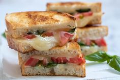 two grilled sandwiches with tomato, mozzarella and basil