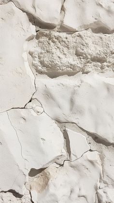 a bird is perched on the side of a white rock wall with cracks in it