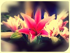 pink and yellow flowers in a vase with green leaves on the bottom right hand corner