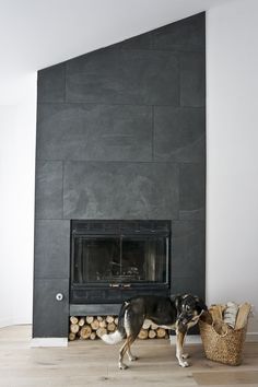 a dog standing in front of a fireplace with logs and a basket on the floor