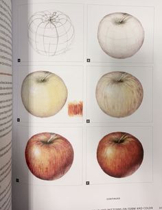 an open book showing different types of apples