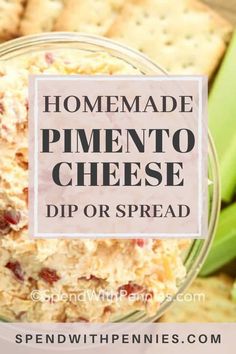 homemade pimentoo cheese dip or spread with crackers