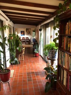 a long hallway with potted plants and bookshelves on either side of the room