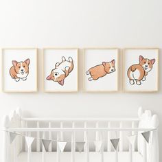 three framed pictures of corgi dogs hanging on the wall above a crib