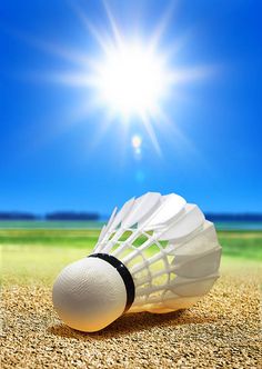 an image of a badminton ball and racket on the ground in front of the sun