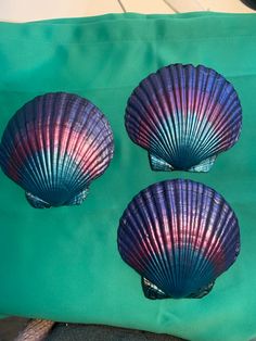 three seashells sitting on top of a green bag with blue and pink stripes