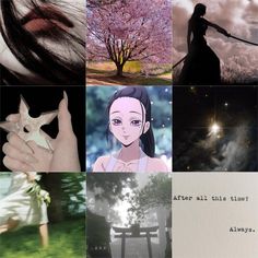 a collage of anime characters with trees and clouds in the background, including a woman holding a star