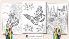 two coloring pages with butterflies and flowers on them