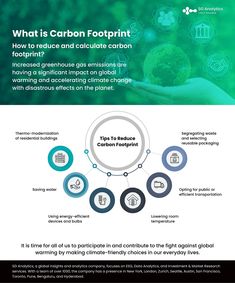 What is a carbon footprint, How to reduce carbon footprint, how is carbon footprint calculated, Carbon Footprint, reducing carbon footprint, carbon footprint definition, calculate carbon footprint. Sustainability Infographic, Carbon Footprint Calculator, Reducing Carbon Footprint, Social Studies Projects, Reusable Packaging, Learning Websites, One Piece Drawing, A Concept, Carbon Footprint