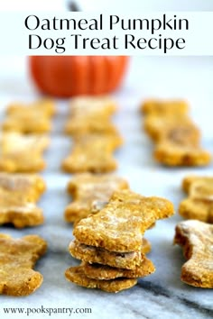 oatmeal pumpkin dog treats stacked on top of each other with a pumpkin in the background