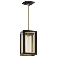 an outdoor hanging light fixture with a black and gold finish on the front, featuring a single