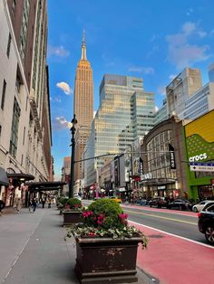 an empty city street with tall buildings in the background and flowers growing on the sidewalk