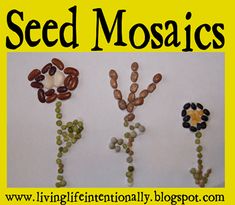 seed mosaics are displayed in front of a yellow background with the words seed mosaics on it