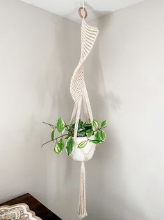 a plant hanging from a rope in a room