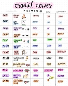 the words in this chart are all written with different colors and font, but they appear to