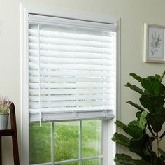 a window with white blinds and green plants