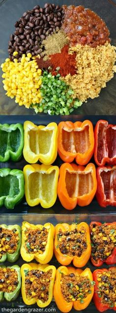 peppers, beans and other foods are arranged in rows